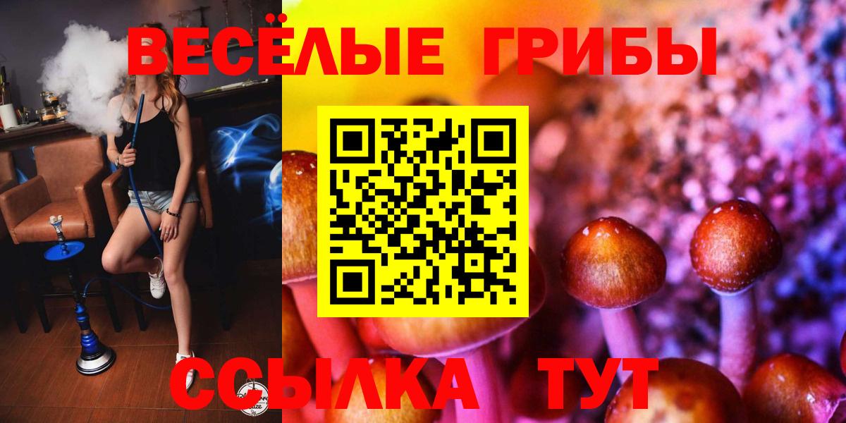 Клинцы  Галлюциногенные грибы Magic Shrooms  купить наркотик  Вход с VPN 